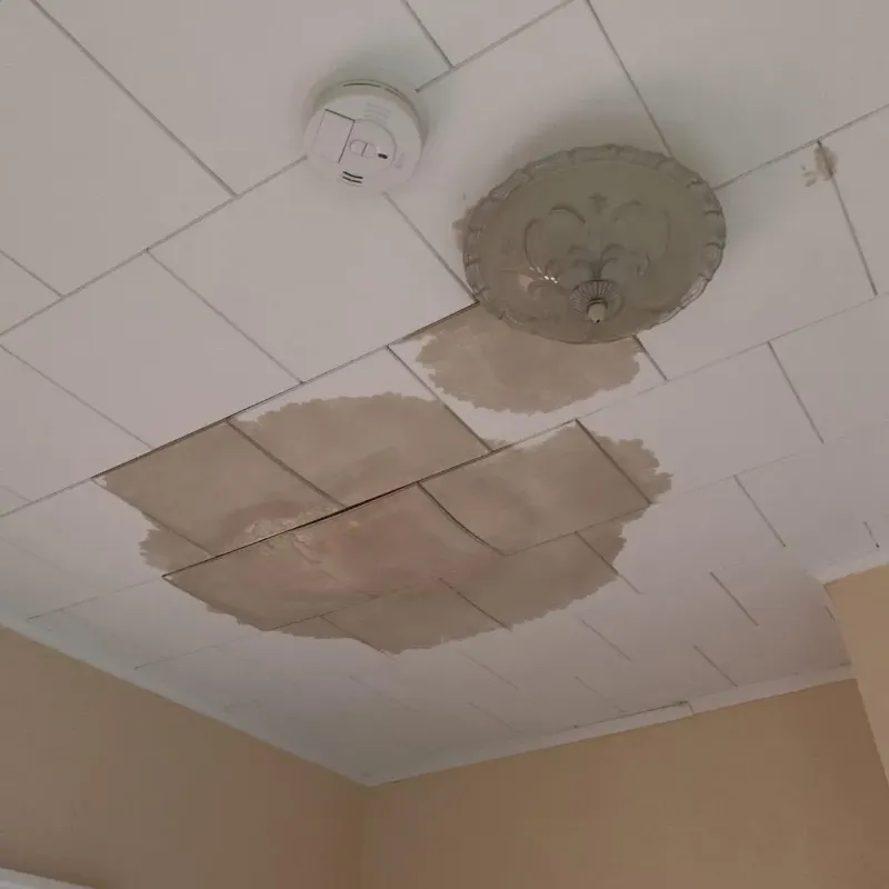 Ceiling Water Damage Repair in Hamilton County, NE