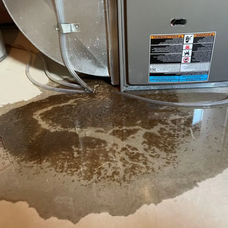 Pipe Burst and Leak Restoration in Hamilton County, NE