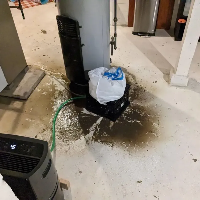 Sewage Backup Cleanup Service in Hamilton County, NE